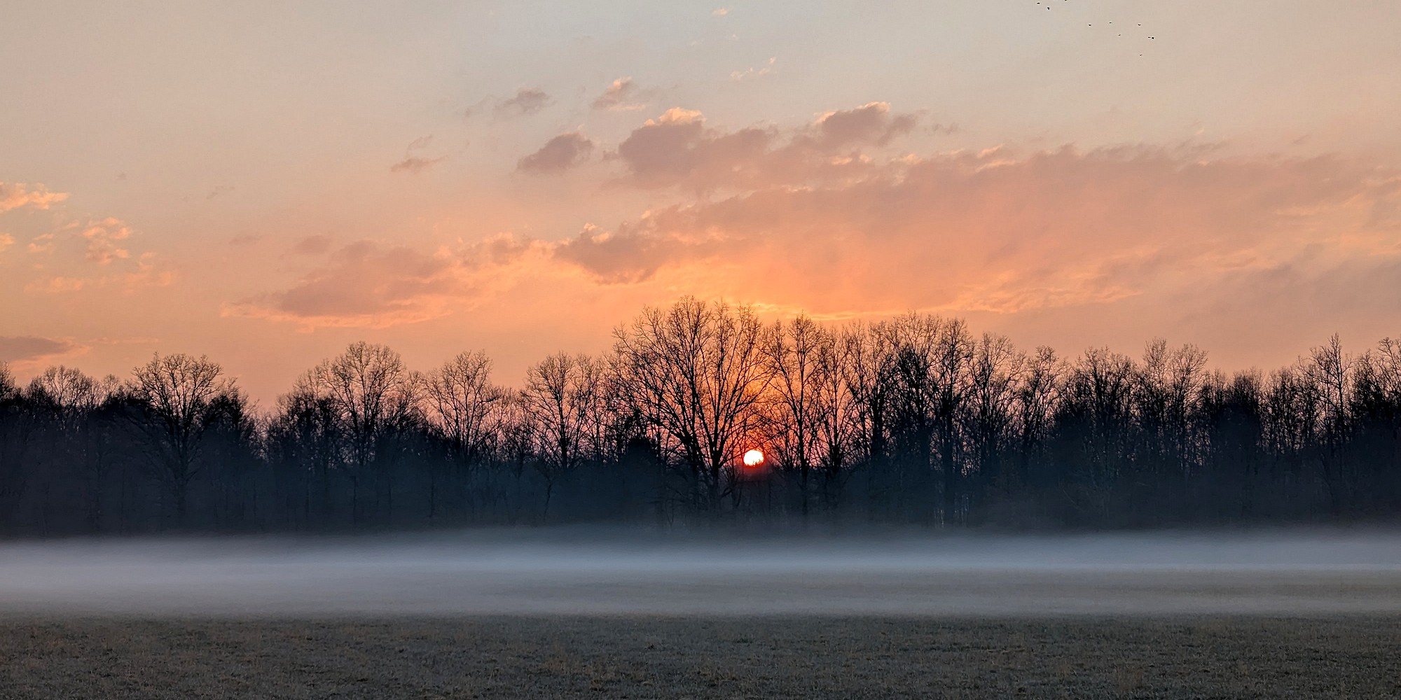 [Ground Fog]