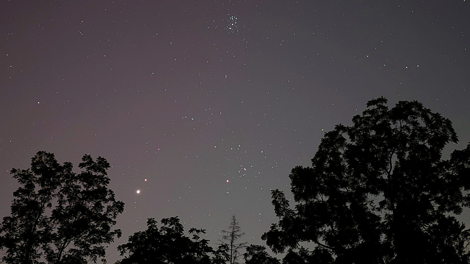 [Aurora on Perseid Morning]