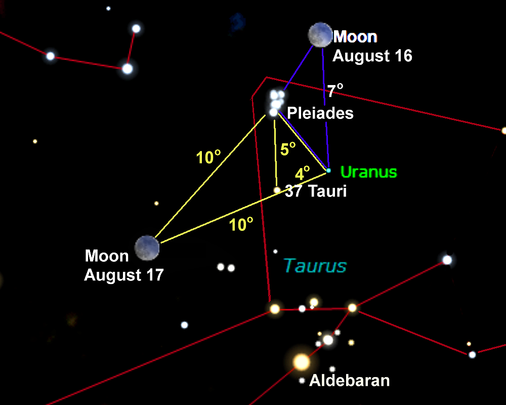[Enlarged View for Run with the Moon]