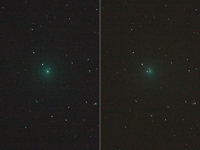 [Comet 8P/Tuttle Photo]