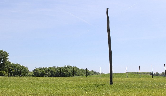 [Cahokia's Woodhenge at Present]