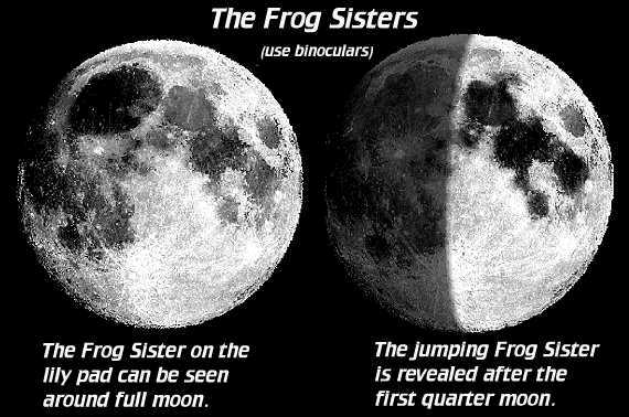 The Frog Sisters