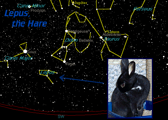 [Lepus, the Hare]