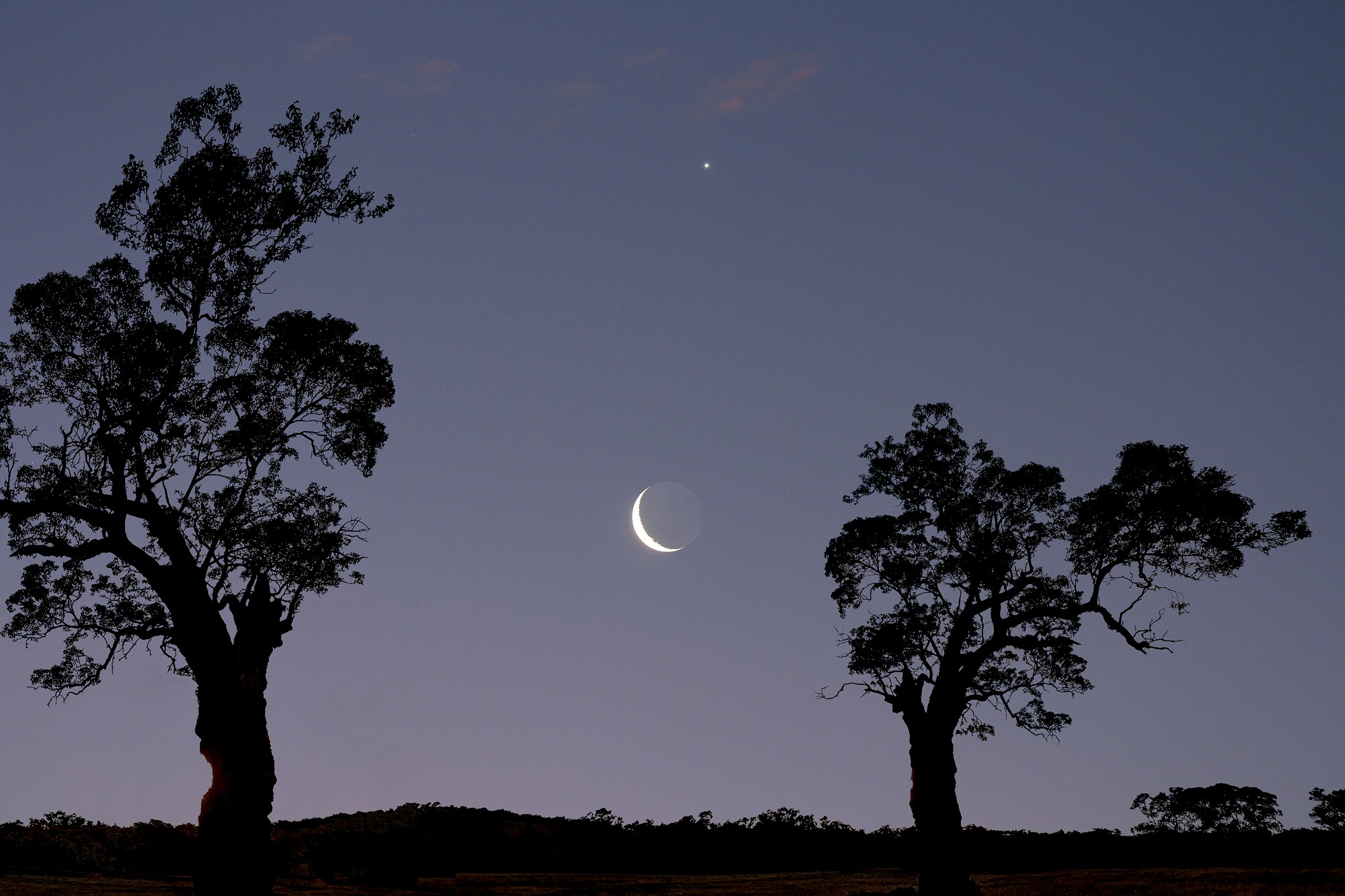 [Waxing Cresent Moon-Australia]