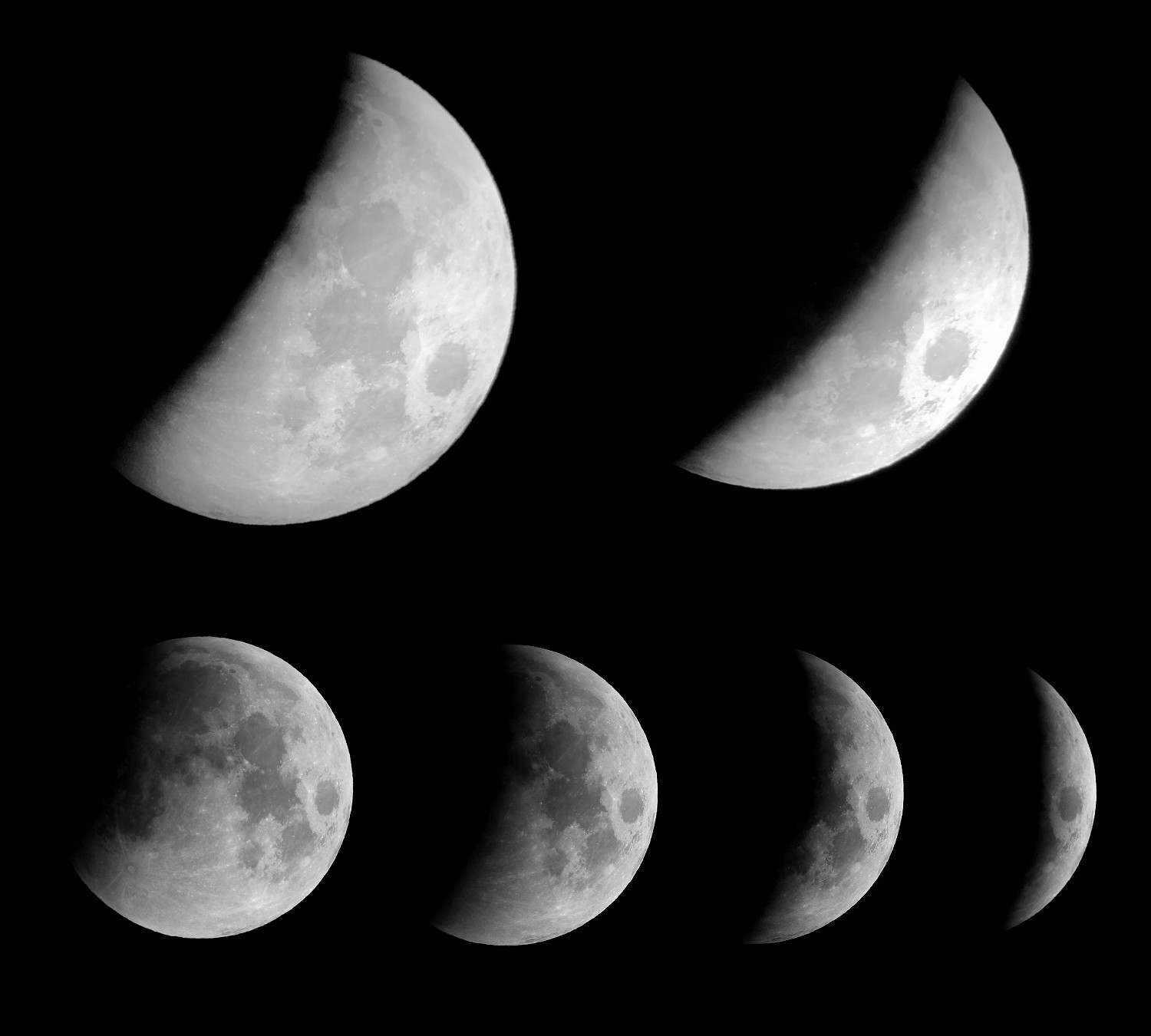 [Total Lunar Eclipse of November 8]