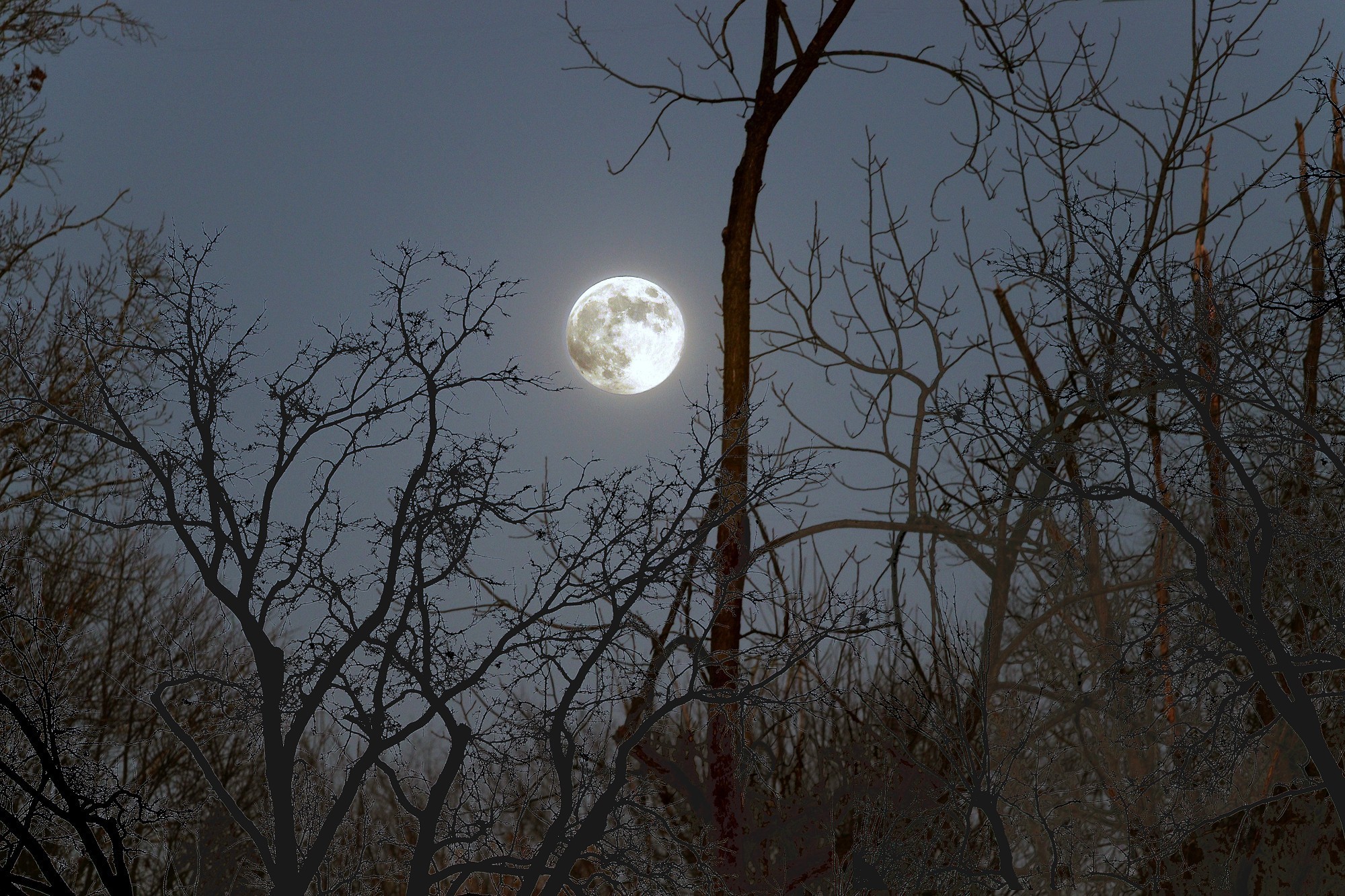 [Asterisms in the East]