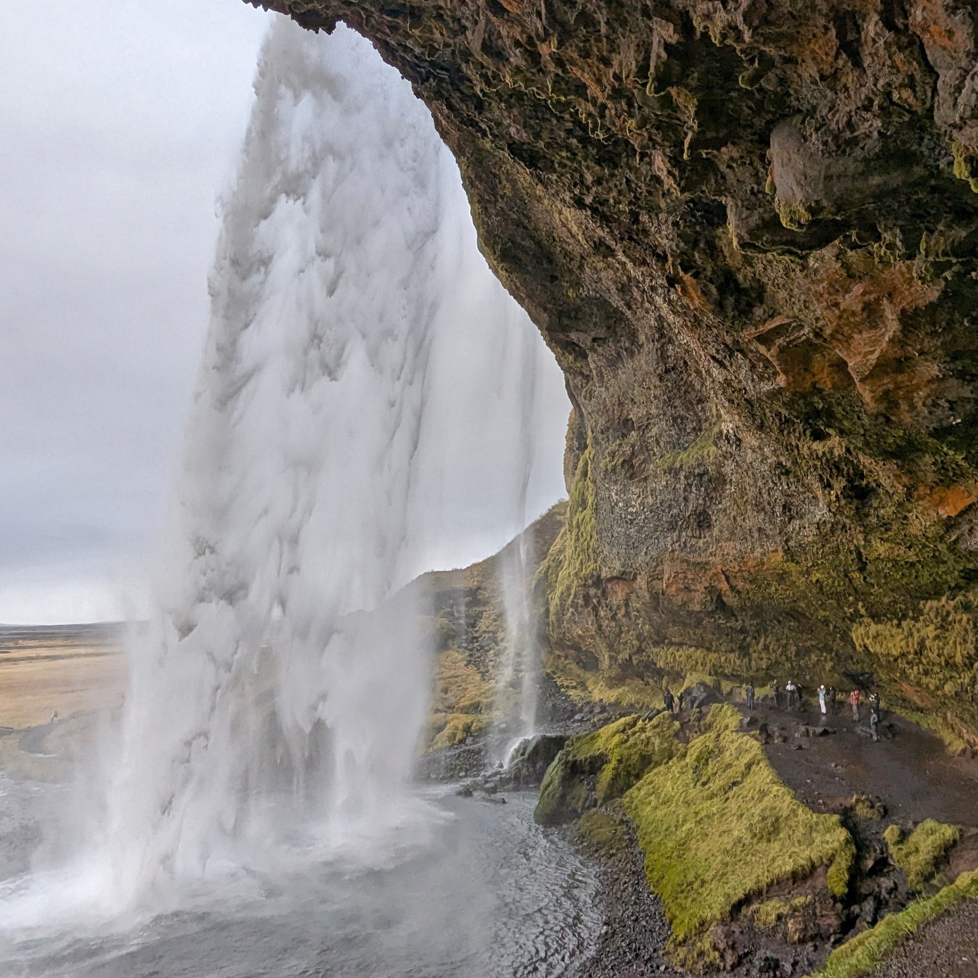 [Iceland, Seljalandsfoss]