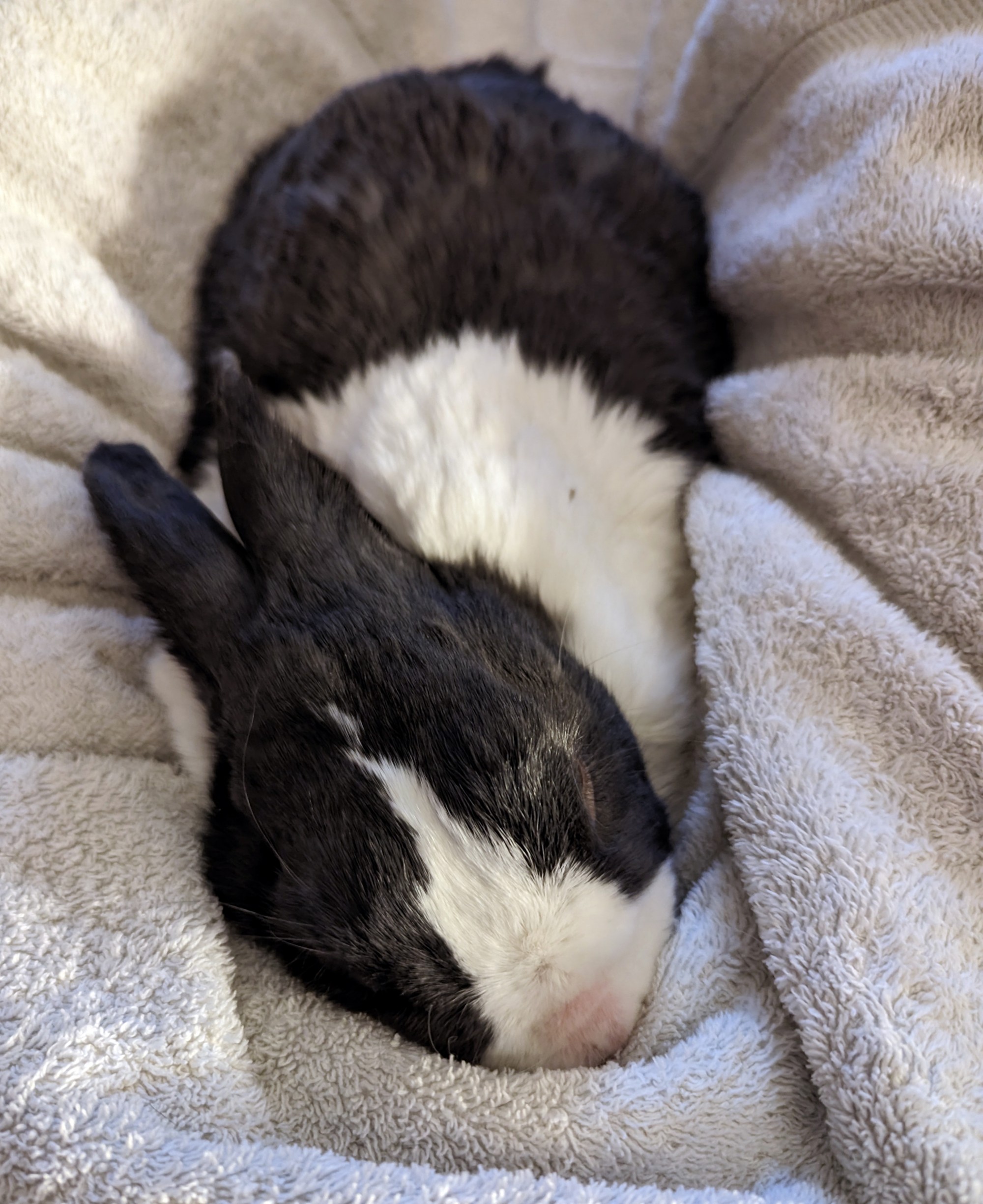 [The Most Remarkable Fynn]