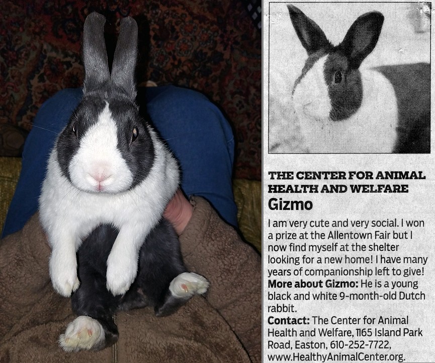 [The Most Remarkable Fynn]