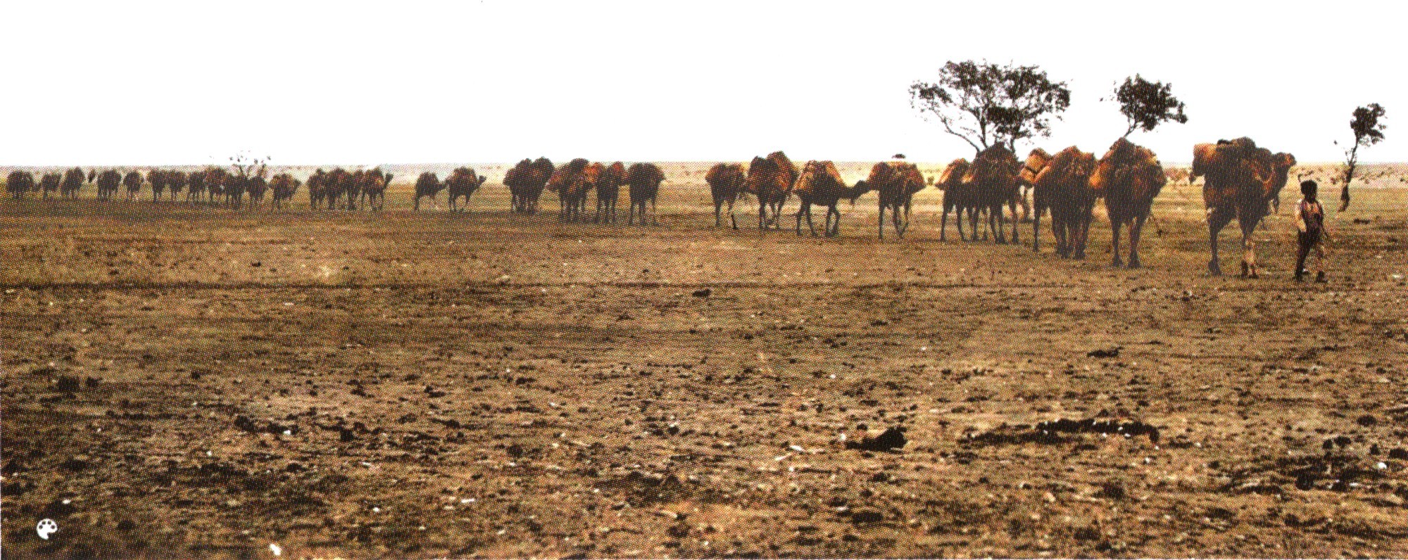 [Adelaide TSE Expedition, 1922]