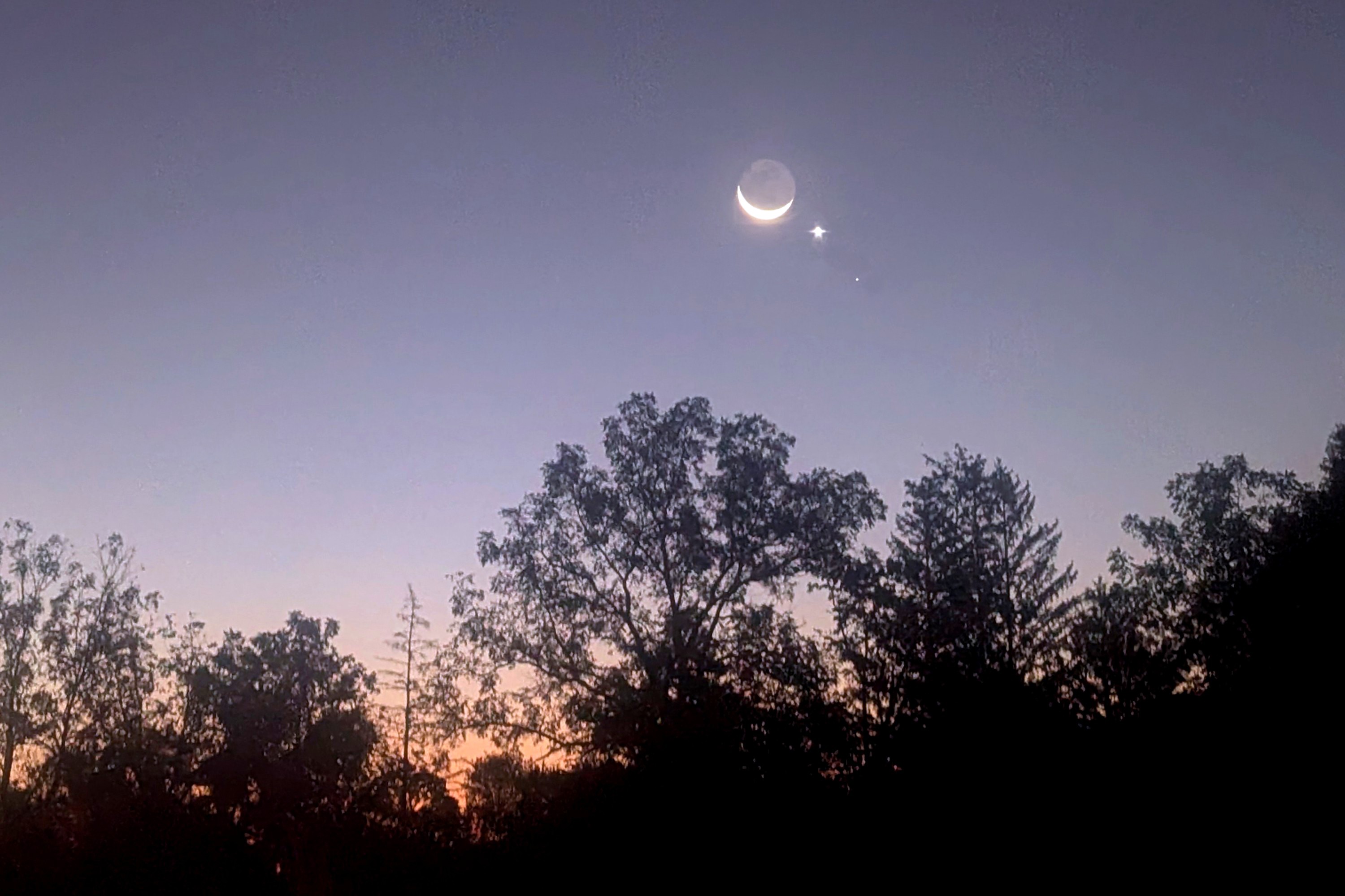 [Moon, Venus, Regulus in Conjunction]