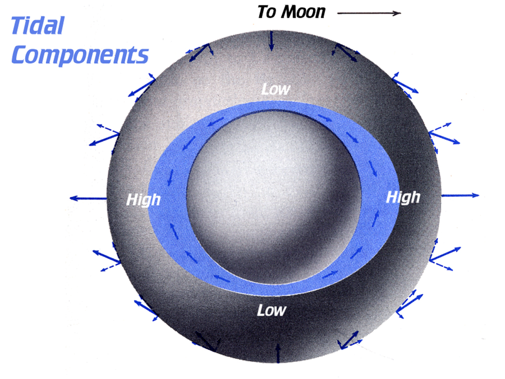 [Gary A. Becker Slide]