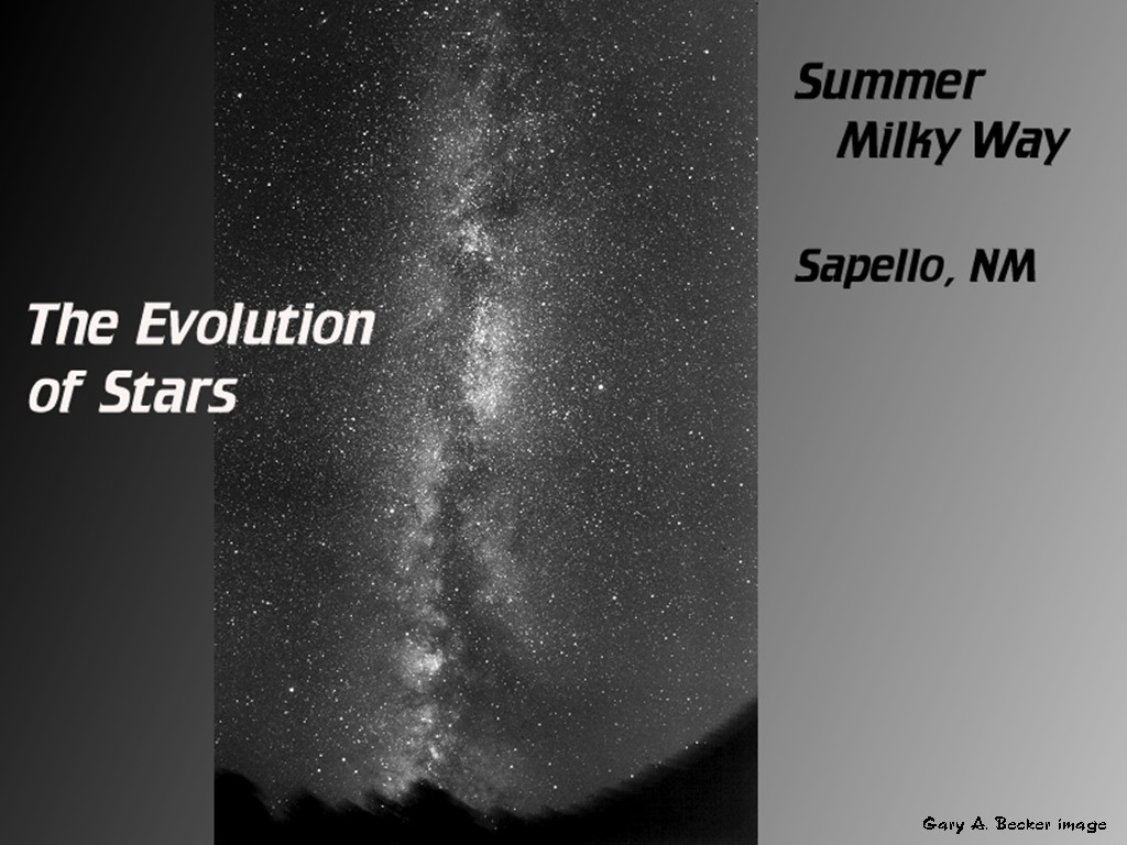 [Gary A. Becker Slide]