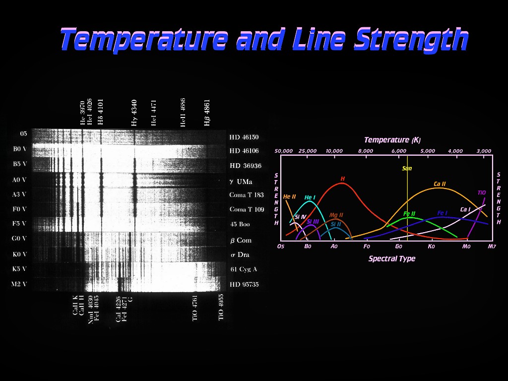 [Gary A. Becker Slide]