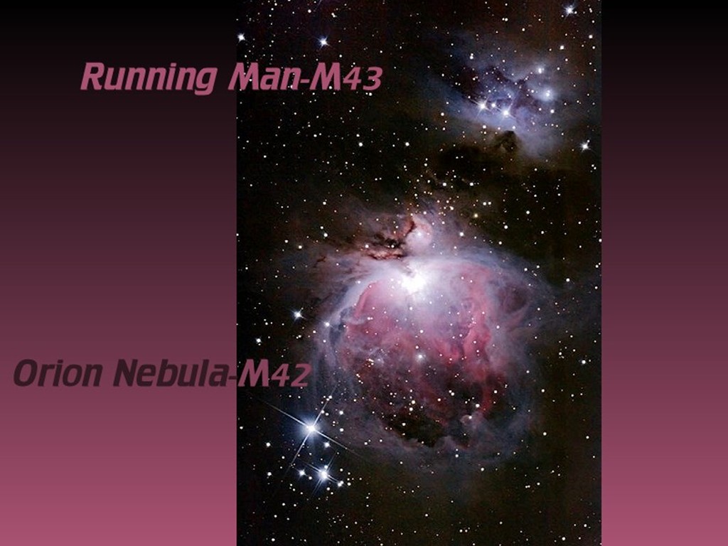 [Gary A. Becker Slide]