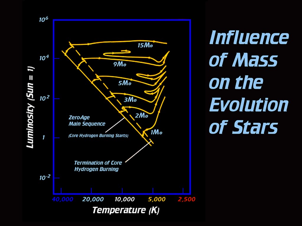 [Gary A. Becker Slide]