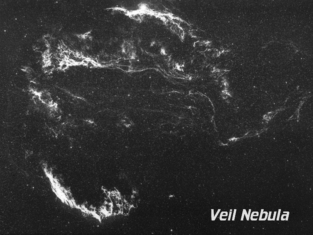 [Gary A. Becker Slide]