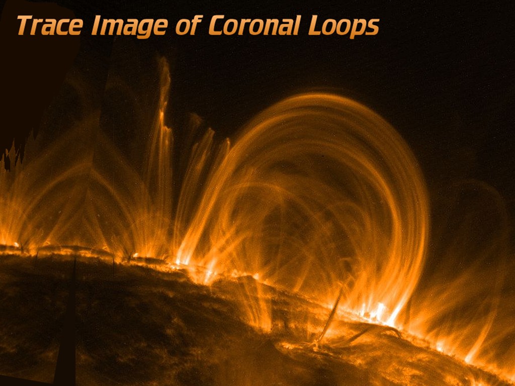 [Gary A. Becker Slide]