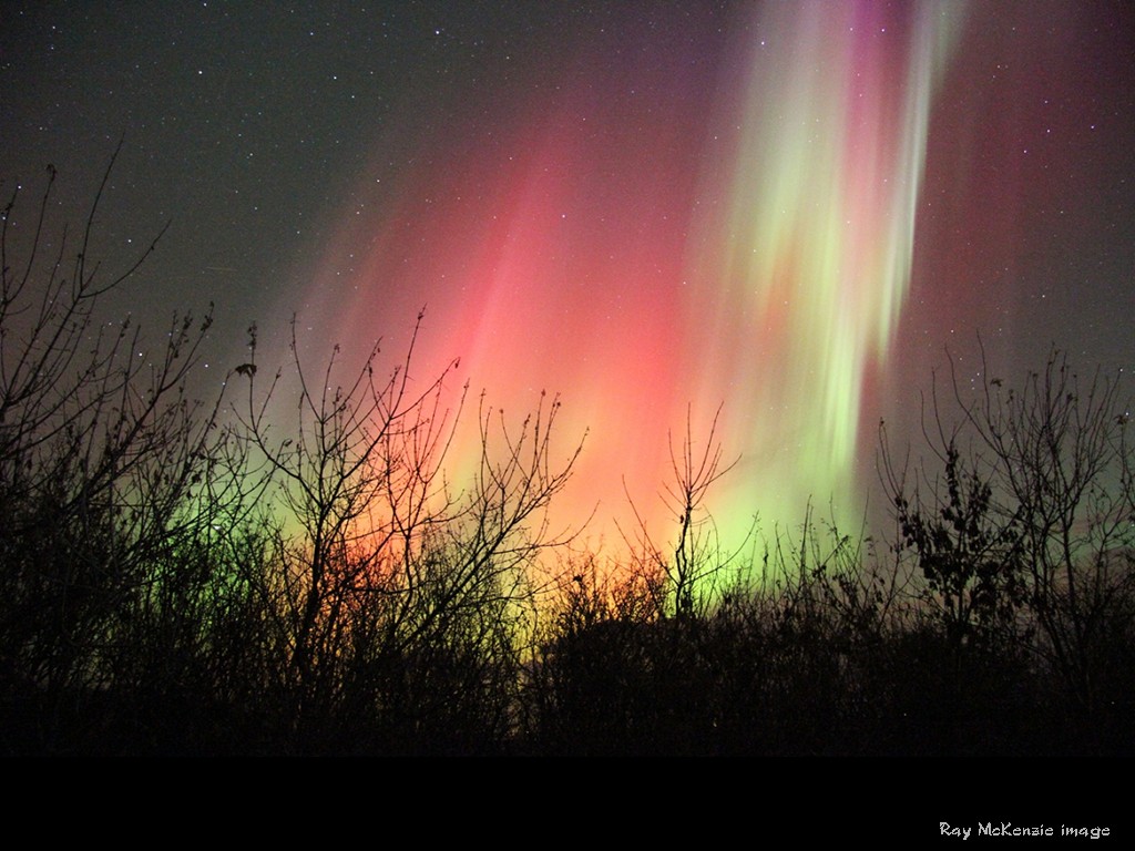 [Gary A. Becker Slide]